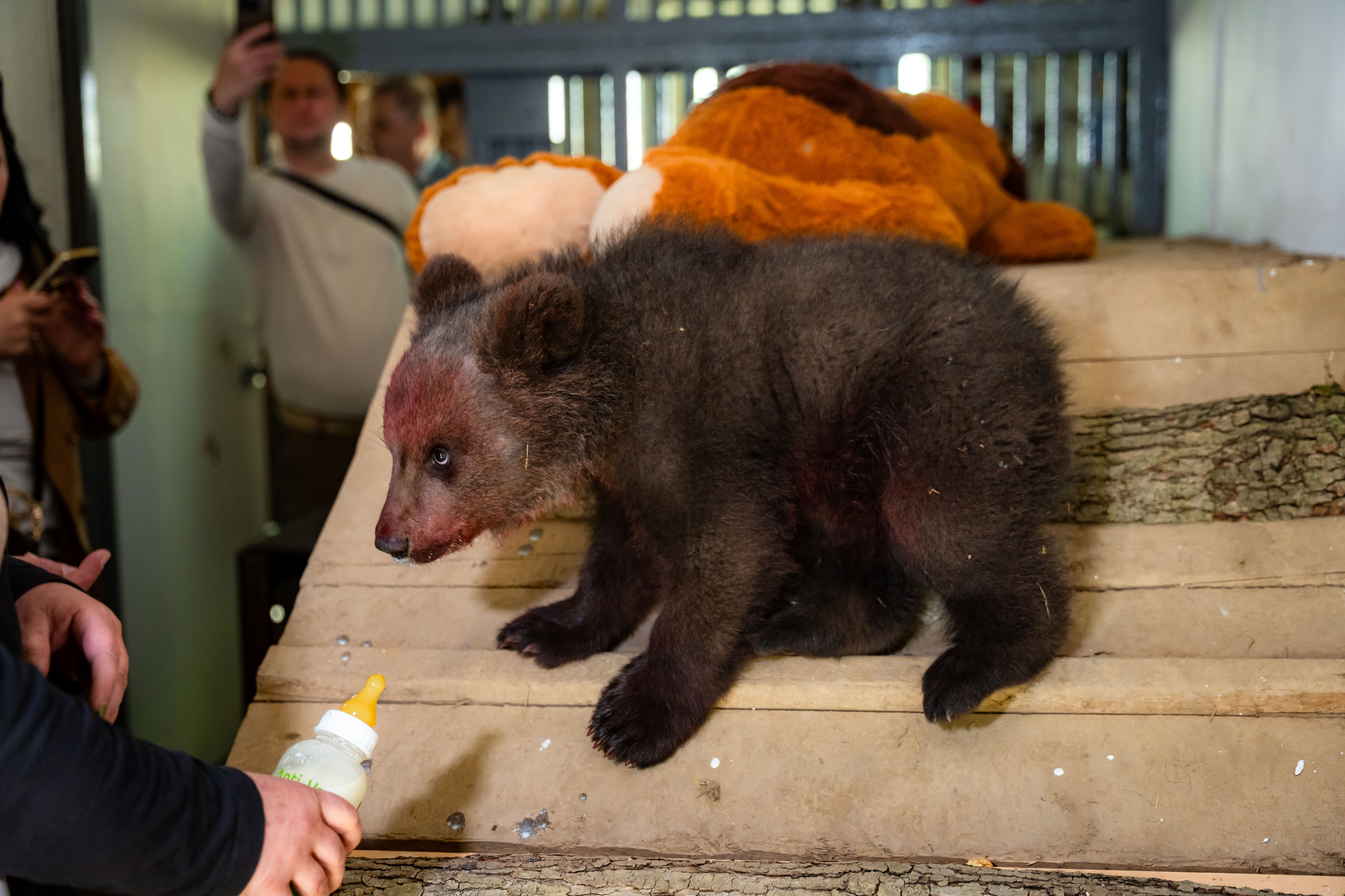 Slavnostne odomykanie vrany ZOO Kosice-1-69